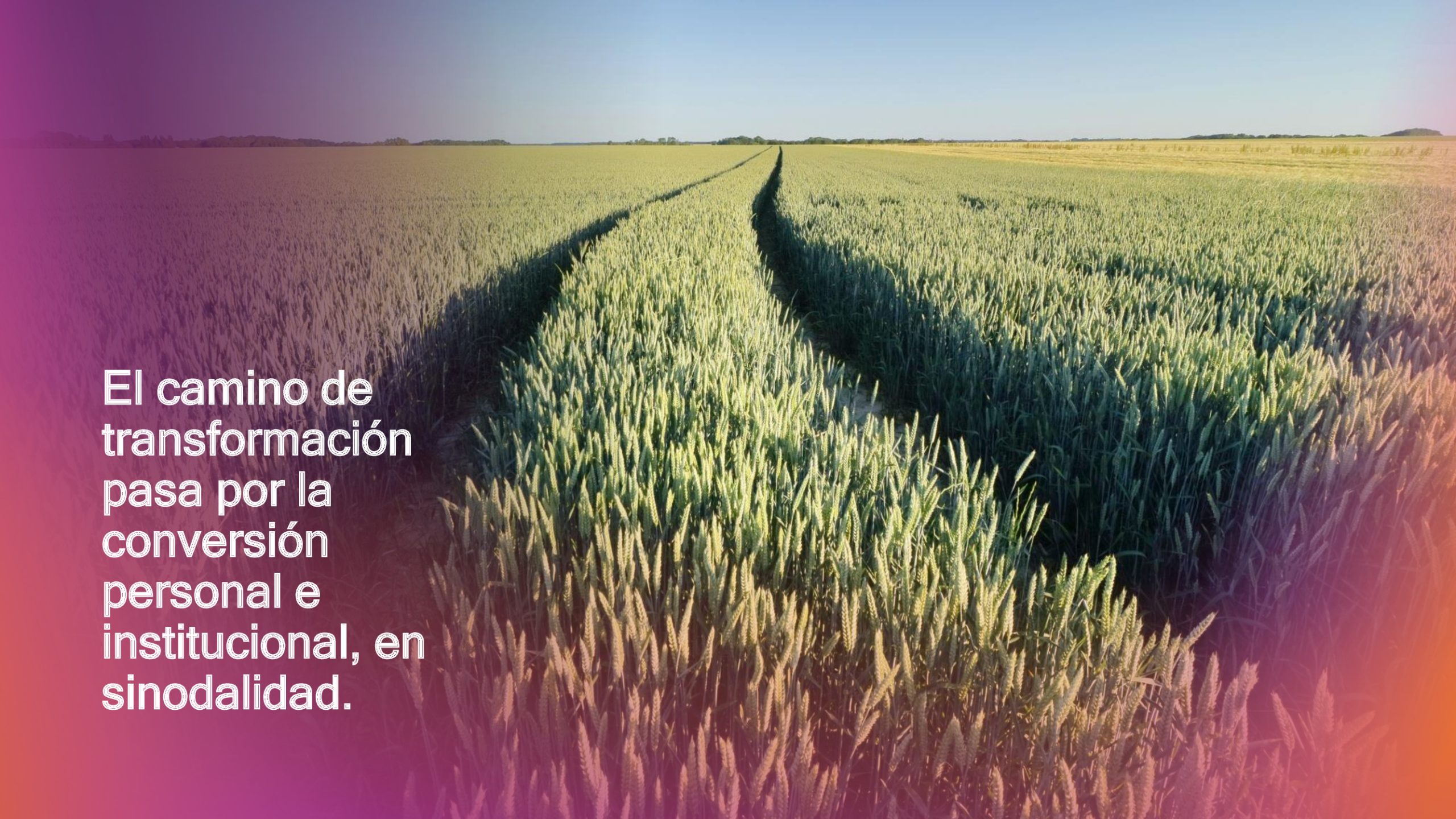 a929da651c9043bedba684549f50a6c8-17